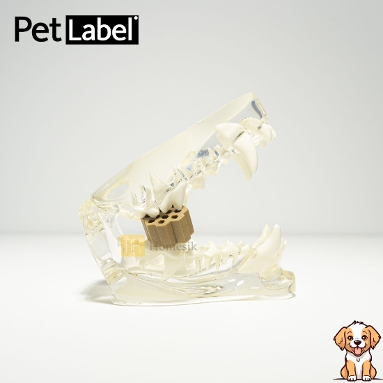 圖片 Fresh Wave 狗狗口腔護理營養潔牙棒 中碼 (120g)