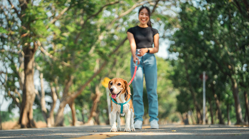 圖片 【寵物保姆全攻略】價錢| 服務比較| 如何選擇寵物照顧者？