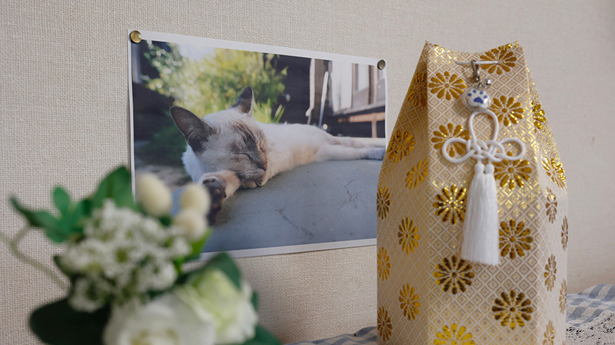 圖片 火警、墮樓、毒物| 寵物在家危機四伏？家居防火與寵物善終指南