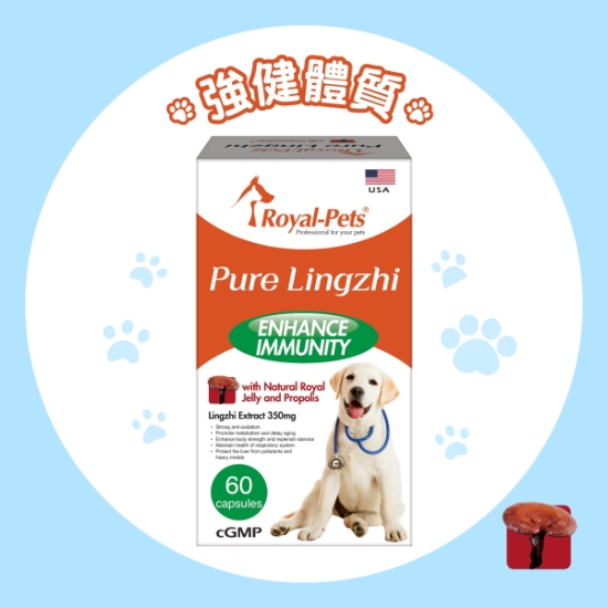 Picture of Royal-Pets Lingzhi 60 capsules