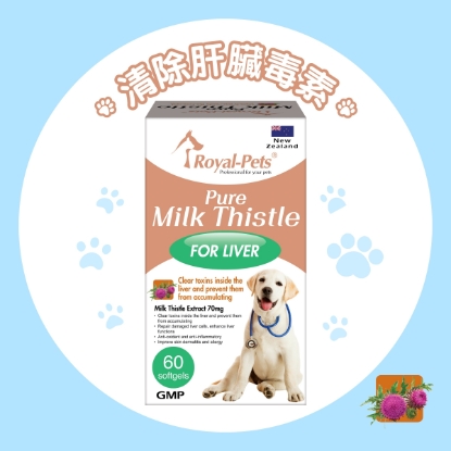 Picture of Royal-Pets Pure Milk Thistle 60 softgels