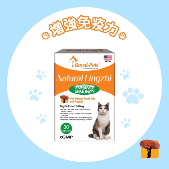 Picture of Royal-Pets Natural Lingzhi 30 capsules