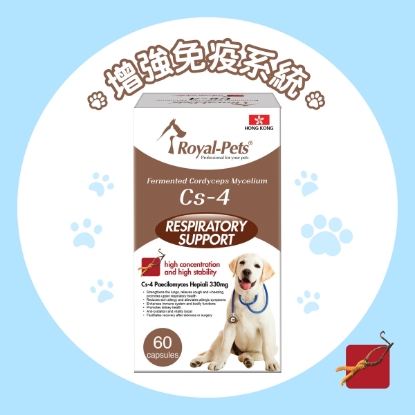 Picture of Royal-Pets Fermented Cordyceps Mycelium Cs-4 for Dogs 60'S