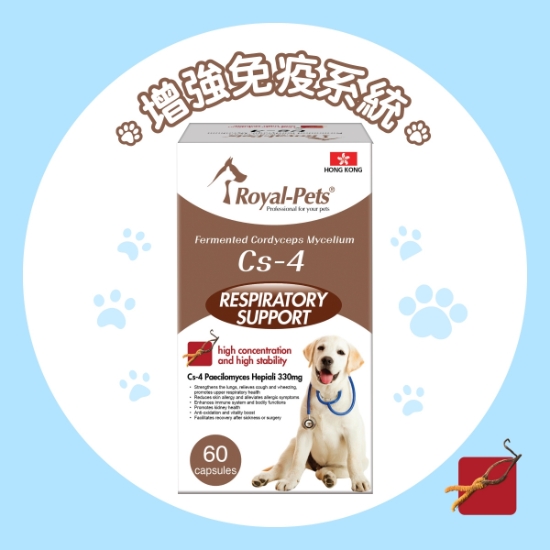 Picture of Royal-Pets Fermented Cordyceps Mycelium Cs-4 for Dogs 60'S