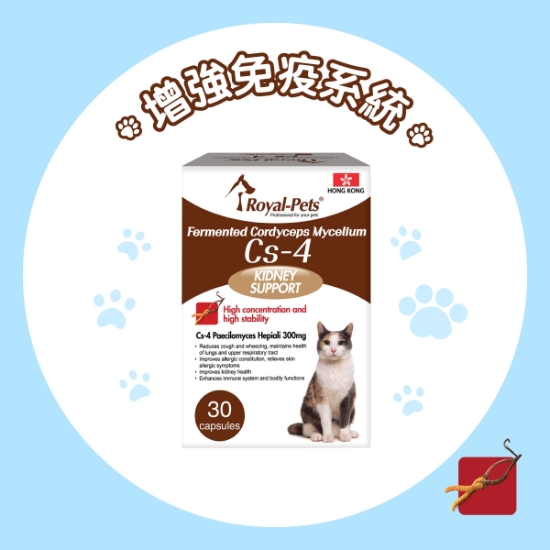 Picture of Royal-Pets Fermented Cordyceps Mycelium Cs-4 for Cats 30'S