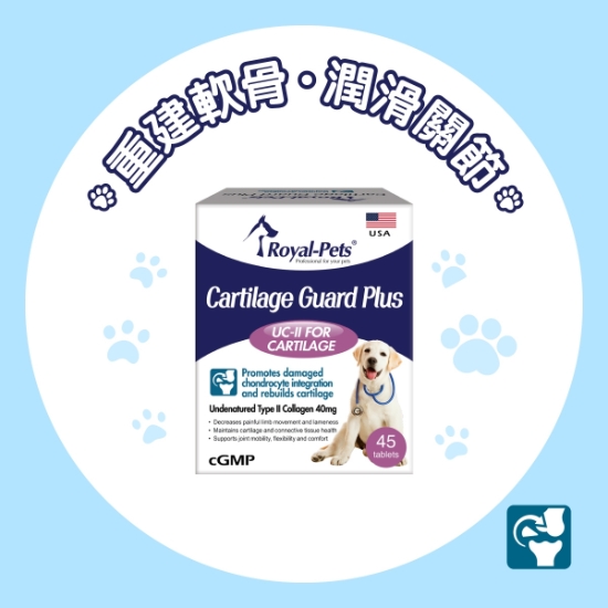 Picture of Royal-Pets Cartilage Guard Plus 45'S
