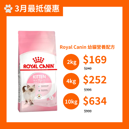 Picture of Royal Canin Kitten
