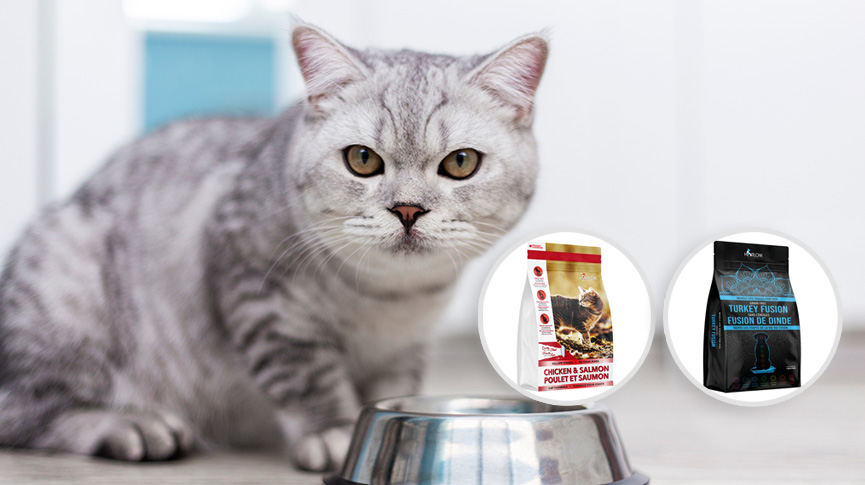 圖片 Harlow Blend貓狗糧評價｜加拿大製造天然寵物食品| 特色、成分與口碑