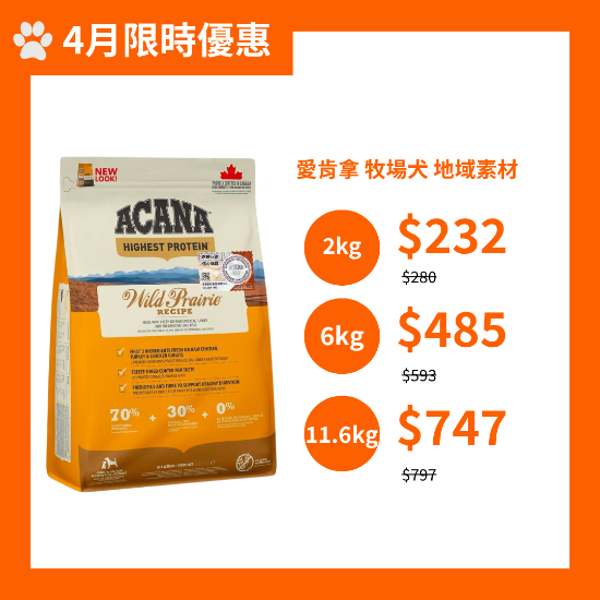 圖片 愛肯拿 牧場犬 地域素材 6kg