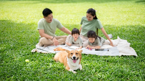 圖片 【國際寵物日】4大毛孩慶祝提案 為牠締造難忘回憶