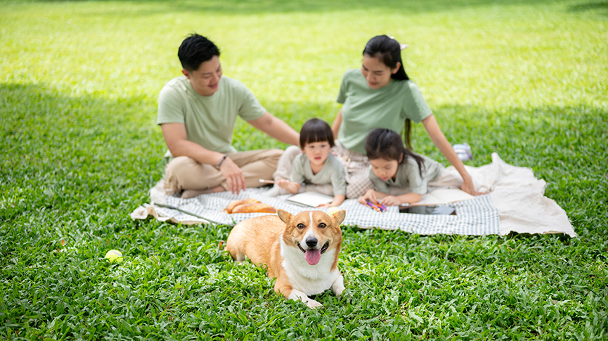 圖片 【4/11 國際寵物日】4大毛孩慶祝提案 為牠締造難忘回憶