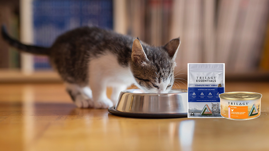 圖片 【Trilogy奇境貓糧評價】澳洲無穀貓糧實測|主食罐頭與乾糧成分全分析