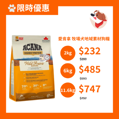 圖片 愛肯拿 牧場犬 地域素材