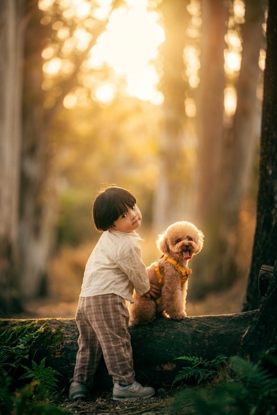 Picture of Cocomic Image Studio | Professional Pet Photography【Capturing the Purest Moments of Your Furry Friend】