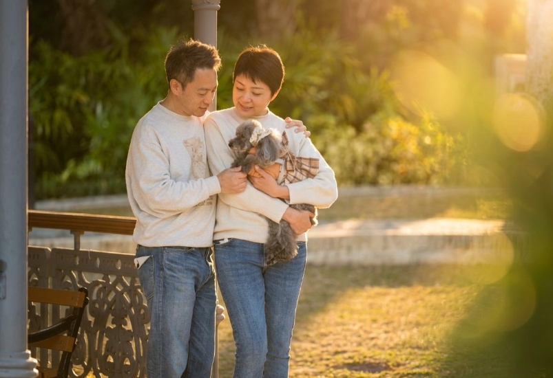 Picture of Cocomic Image Studio | Professional Pet Photography【Capturing the Purest Moments of Your Furry Friend】