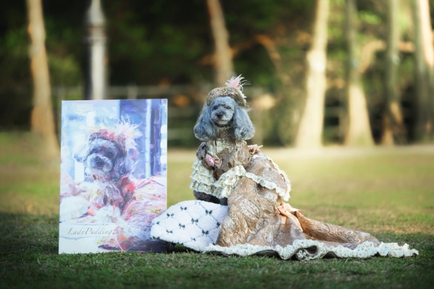 Picture of Cocomic Image Studio | Professional Pet Videography【Capturing Their Spirit, Preserved Forever】
