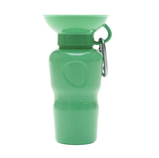 Picture of Springer - Springer Green Classic Water Bottle