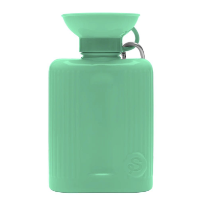 Picture of Springer - Springer Green Travel Water Bottle