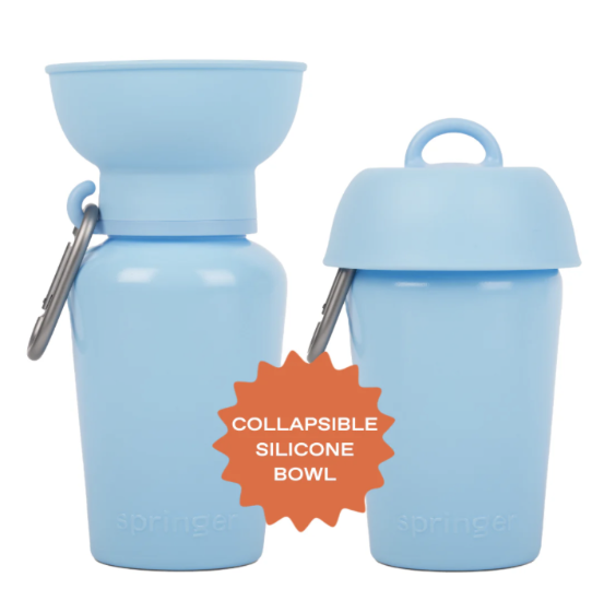 Picture of Springer - Sky Blue 590ml Flip Travel Water Bottle