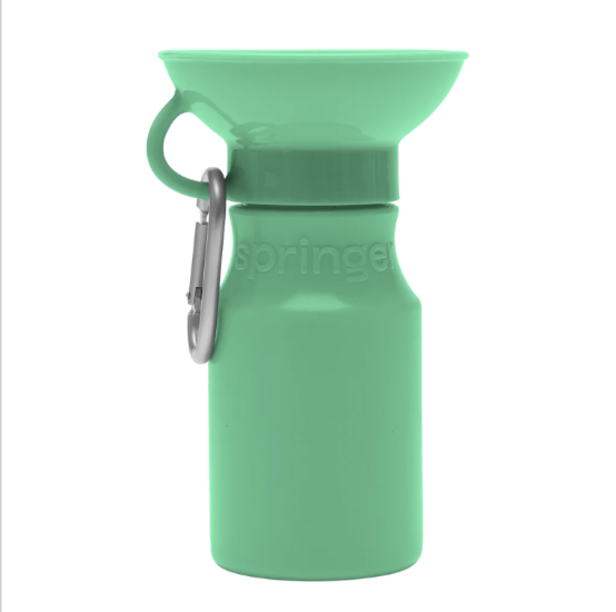 Picture of Springer - Springer Green Mini Water Bottle