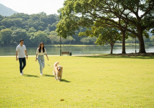 圖片 彭福公園全攻略| 週末帶毛孩放電必去的人寵天堂