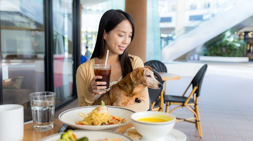 圖片 【狗隻友善食肆】7月9日生效 港島區食肆名單一覽(持續更新)