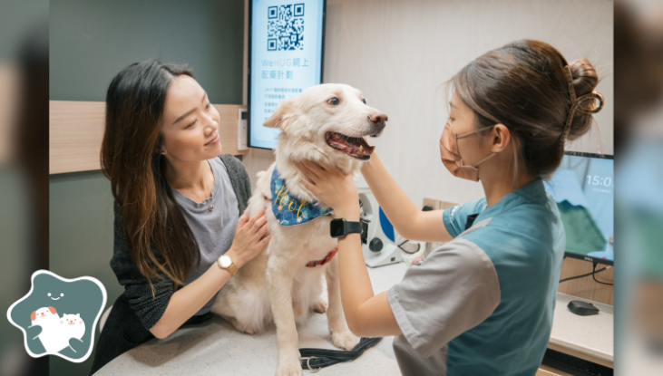 圖片 WeHUG 新界動物醫療中心 新入屋BB狗健康檢查 (低風險組別)