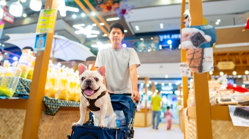 圖片 10大毛孩必去九龍區商場| K11 MUSEA、AIRSIDE、apm、MegaBox資訊一覽