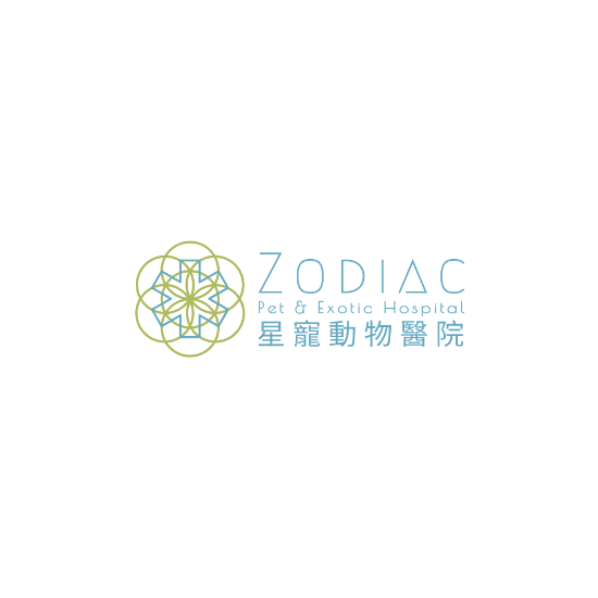 圖片 星寵動物醫院 中高齡狗狗全面健康檢查套餐