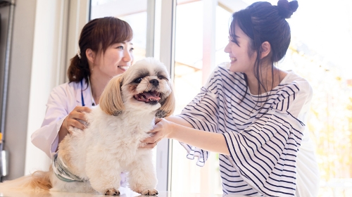 圖片 4大重點| 教你找到值得信賴的良心獸醫